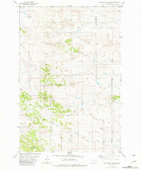 Foundation Spring 1981 topographic map thumbnail