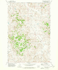 Fourmile Creek 1973 topographic map thumbnail