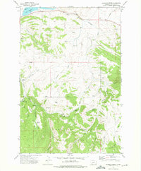 Fourmile Spring 1972 topographic map thumbnail