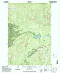 Fred Burr Lake 1996 topographic map thumbnail