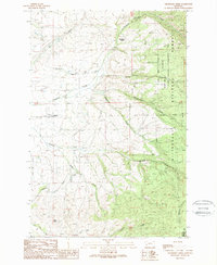 Grayhorse Creek 1989 topographic map thumbnail