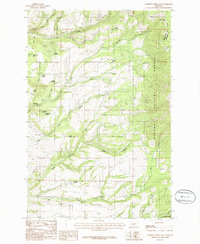 Gurnett Creek East 1986 topographic map thumbnail