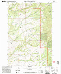 Gurnett Creek East 2001 topographic map thumbnail