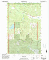 Haskill Mountain 1994 topographic map thumbnail