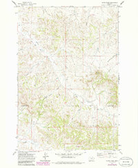 Hayes Point 1971 topographic map thumbnail