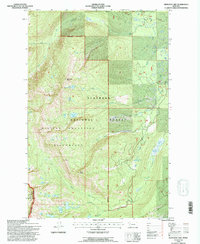 Hemlock Lake 1994 topographic map thumbnail