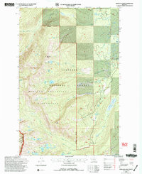 Hemlock Lake 1994 topographic map thumbnail