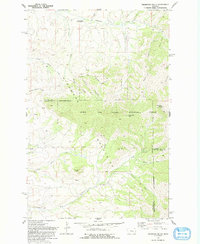 Highwood Baldy 1979 topographic map thumbnail