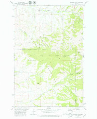 Highwood Baldy 1979 topographic map thumbnail