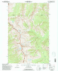 Holland Peak 1994 topographic map thumbnail