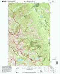 Howard Lake 1997 topographic map thumbnail