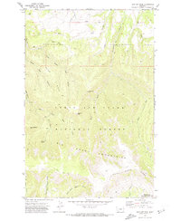 Jump Off Peak 1970 topographic map thumbnail