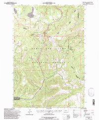 Kings Hill 1995 topographic map thumbnail