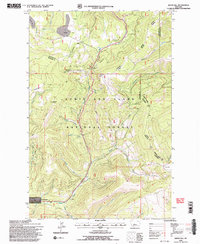 Kings Hill 1995 topographic map thumbnail