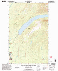 Kintla Lake 1994 topographic map thumbnail