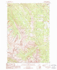 Koch Peak 1988 topographic map thumbnail