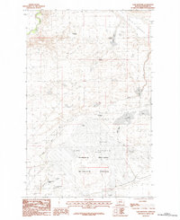Lake Bowdoin 1984 topographic map thumbnail