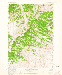 Lemon Ranch 1960 topographic map thumbnail