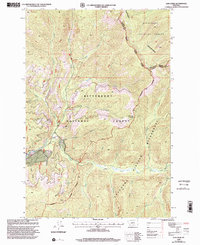 Lick Creek 1998 topographic map thumbnail