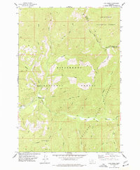 Lick Creek 1974 topographic map thumbnail