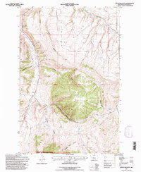 Limestone Butte 1995 topographic map thumbnail