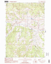 Lincoln Mountain 1988 topographic map thumbnail