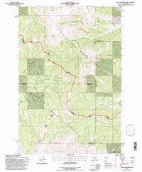 Loco Mountain 1995 topographic map thumbnail
