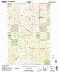 Loco Mountain 1995 topographic map thumbnail