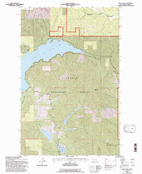 Lone Lake 1994 topographic map thumbnail