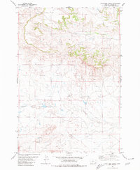 Lone Tree Creek 1980 topographic map thumbnail