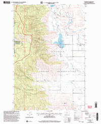 Lonepine 1999 topographic map thumbnail