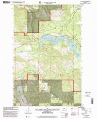 Loon Lake 1997 topographic map thumbnail