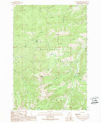 Manhead Mountain 1989 topographic map thumbnail