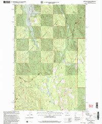 Mantrap Fork 1999 topographic map thumbnail