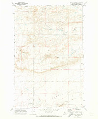 Mc Bridy Spring topographic map thumbnail