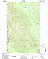 Mc Gee Meadow 1994 topographic map thumbnail