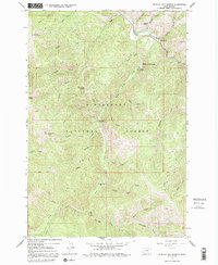Medicine Hot Springs 1965 topographic map preview