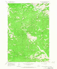 Medicine Hot Springs 1965 topographic map preview