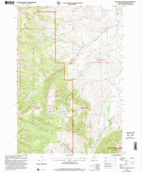 Medicine Lodge Peak 1997 topographic map thumbnail