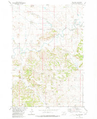 Mill Iron 1980 topographic map thumbnail