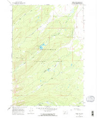 Miner Lake 1966 topographic map thumbnail