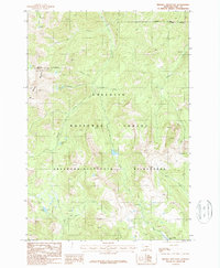 Mineral Mountain 1987 topographic map thumbnail