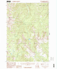 Mineral Mountain 1987 topographic map thumbnail