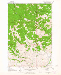 Mitchell Mountain 1962 topographic map thumbnail