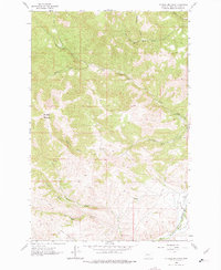 Mitchell Mountain 1962 topographic map thumbnail