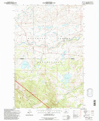 Mitten Lake 1995 topographic map thumbnail