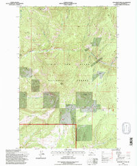 Monument Peak 1995 topographic map thumbnail