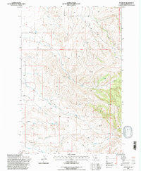 Moore SW 1995 topographic map thumbnail