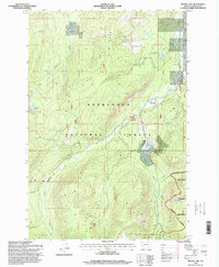 Moose Lake 1996 topographic map thumbnail