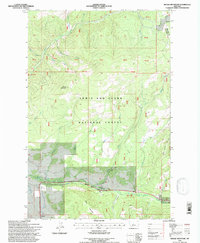 Moose Mountain 1995 topographic map thumbnail